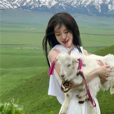 无所谓乐队